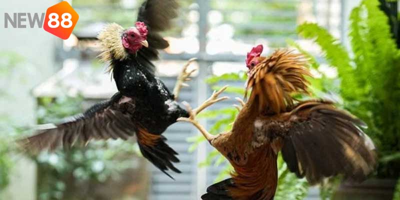 Các loại hình phổ biến hiện nay mà bạn cần nắm