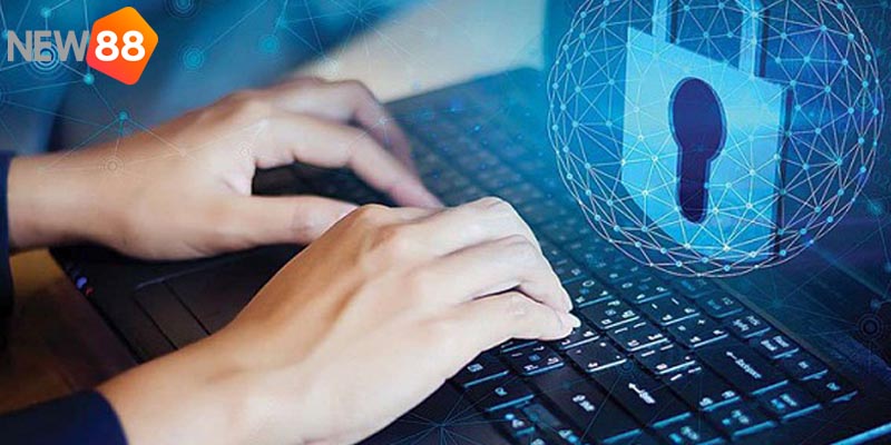Quyền lợi của người tham gia tại web cược